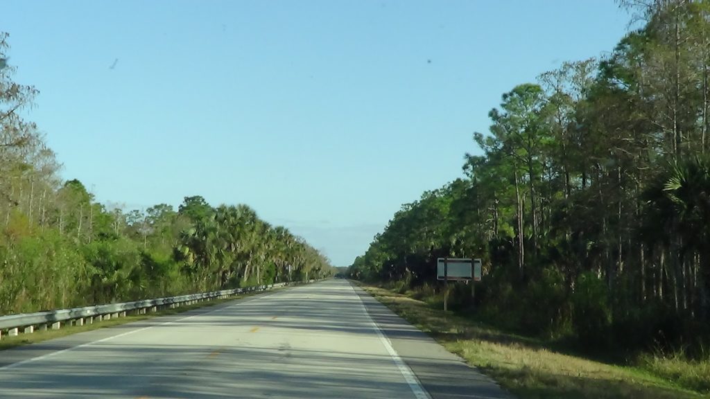 Everglades - Roteiro na Mão