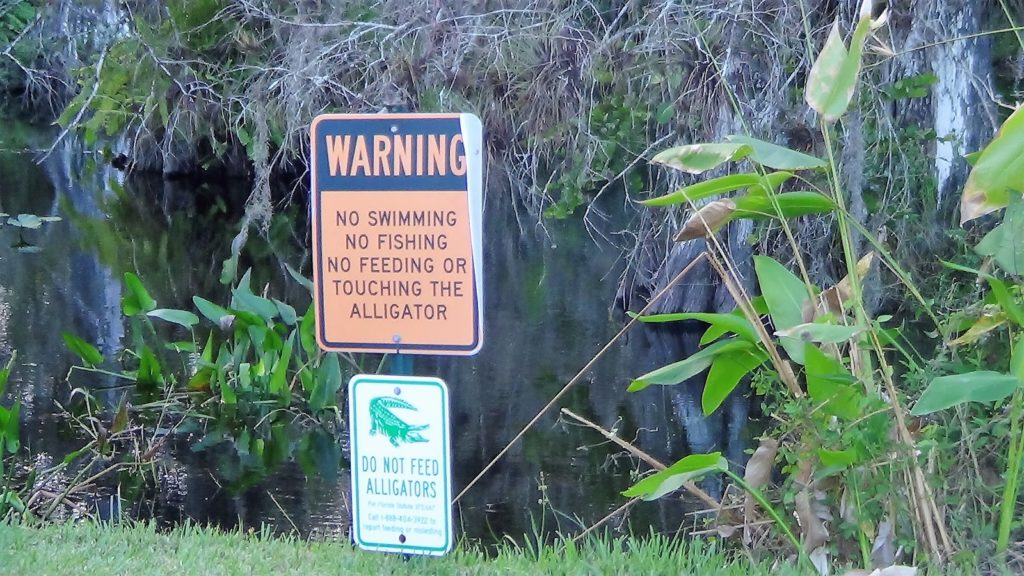 Everglades - Roteiro na Mão